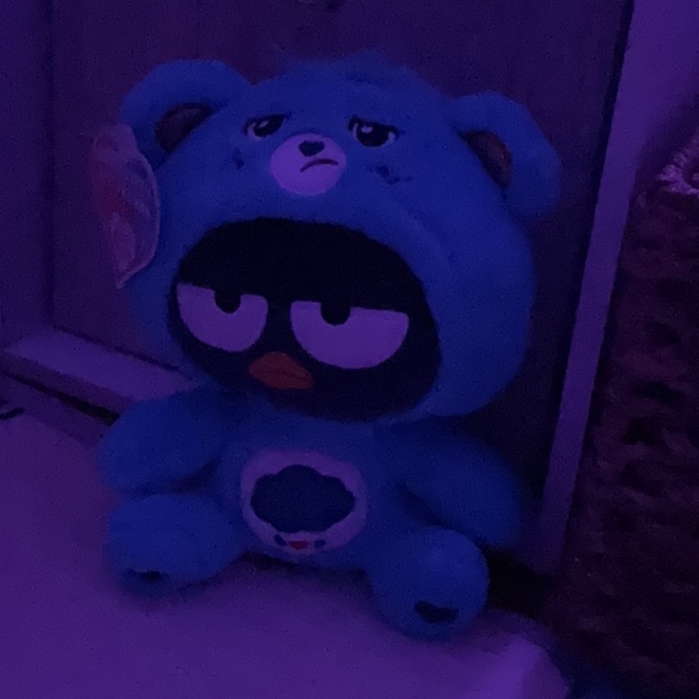 Hello kitty x Care Bears plush toy
